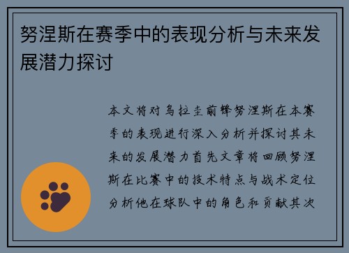 努涅斯在赛季中的表现分析与未来发展潜力探讨