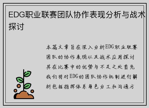 EDG职业联赛团队协作表现分析与战术探讨