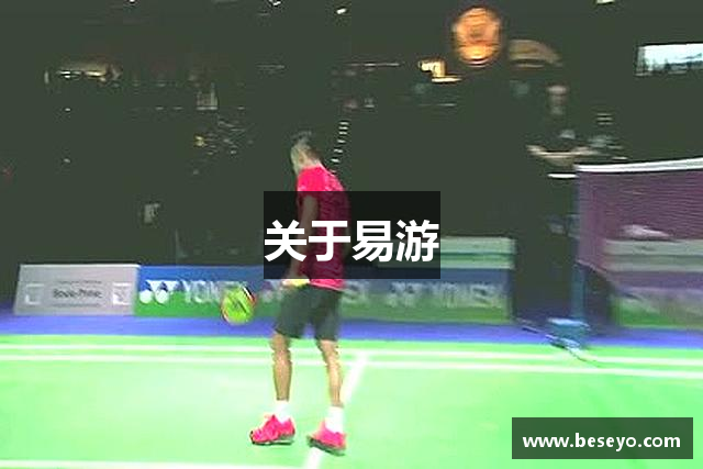 关于易游