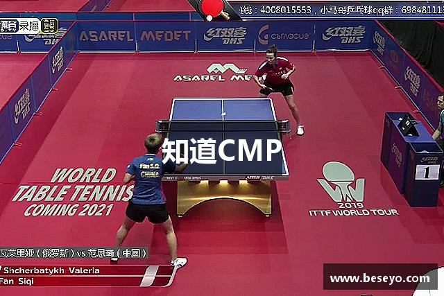 知道CMP